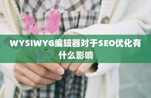 WYSIWYG编辑器对于SEO优化有什么影响