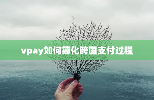 vpay如何简化跨国支付过程