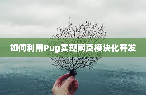 如何利用Pug实现网页模块化开发