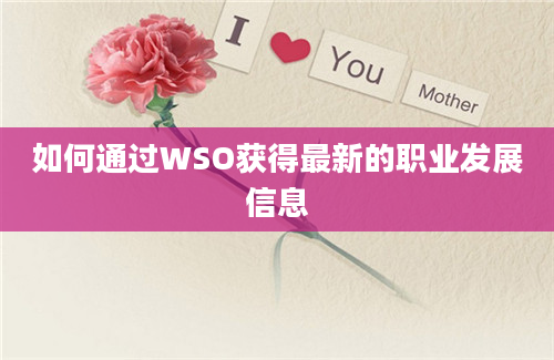 如何通过WSO获得最新的职业发展信息