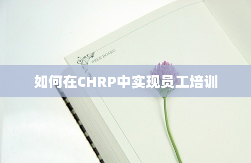 如何在CHRP中实现员工培训