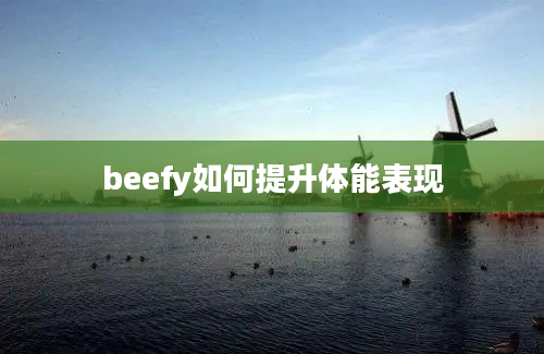 beefy如何提升体能表现