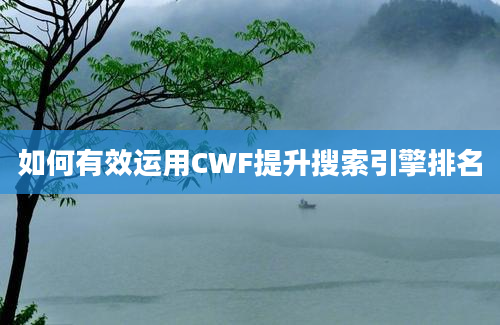 如何有效运用CWF提升搜索引擎排名