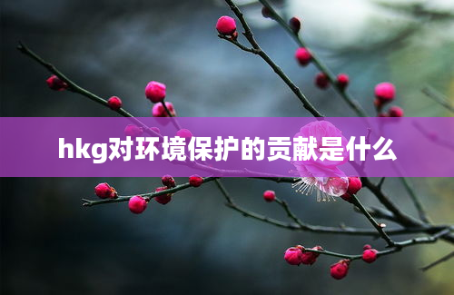 hkg对环境保护的贡献是什么