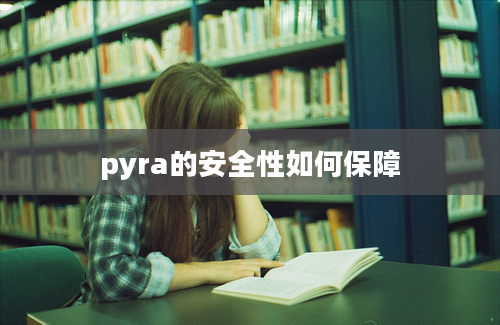 pyra的安全性如何保障