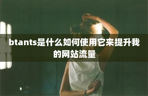 btants是什么如何使用它来提升我的网站流量