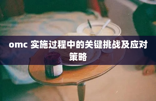 omc 实施过程中的关键挑战及应对策略