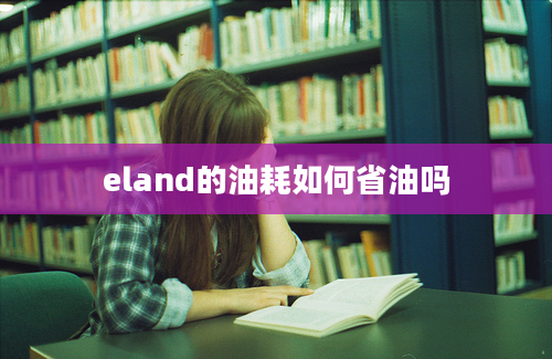 eland的油耗如何省油吗