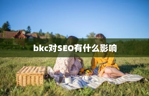 bkc对SEO有什么影响