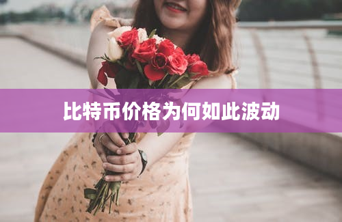 比特币价格为何如此波动