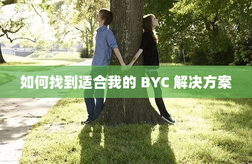 如何找到适合我的 BYC 解决方案