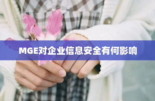 MGE对企业信息安全有何影响