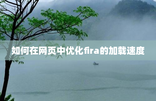 如何在网页中优化fira的加载速度