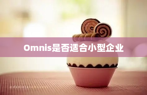 Omnis是否适合小型企业