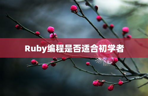 Ruby编程是否适合初学者