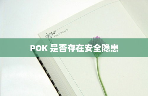 POK 是否存在安全隐患