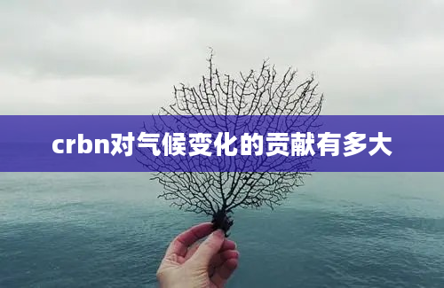 crbn对气候变化的贡献有多大