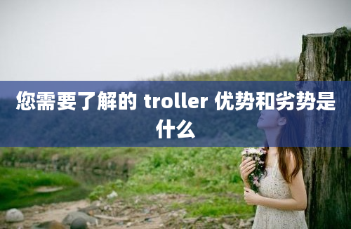 您需要了解的 troller 优势和劣势是什么