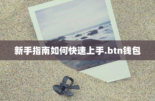 新手指南如何快速上手.btn钱包