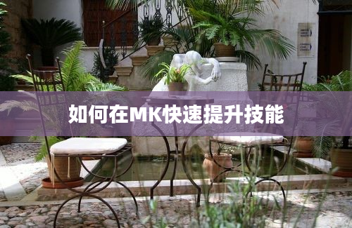 如何在MK快速提升技能