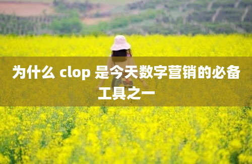 为什么 clop 是今天数字营销的必备工具之一