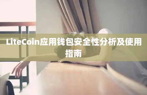 LiteCoin应用钱包安全性分析及使用指南