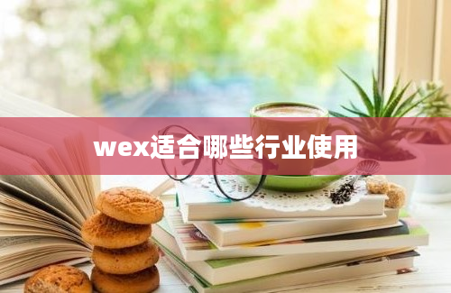 wex适合哪些行业使用