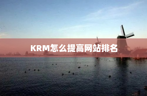 KRM怎么提高网站排名