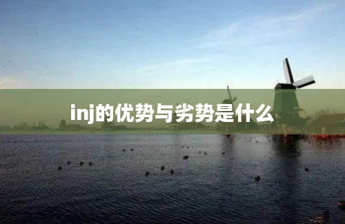 inj的优势与劣势是什么