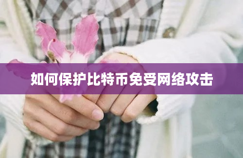 如何保护比特币免受网络攻击