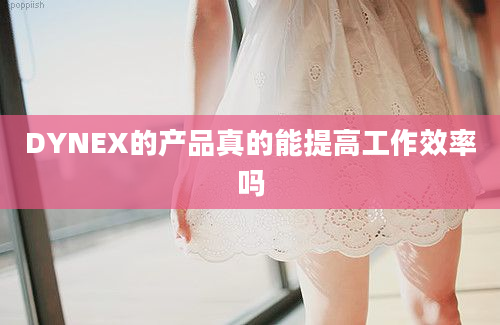 DYNEX的产品真的能提高工作效率吗