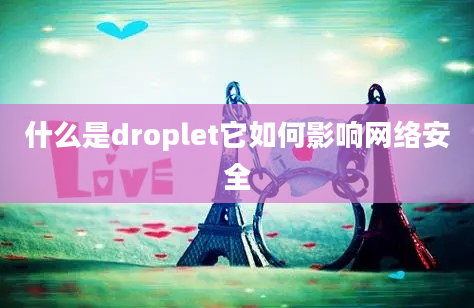 什么是droplet它如何影响网络安全