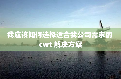 我应该如何选择适合我公司需求的 cwt 解决方案