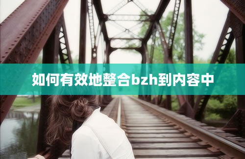 如何有效地整合bzh到内容中