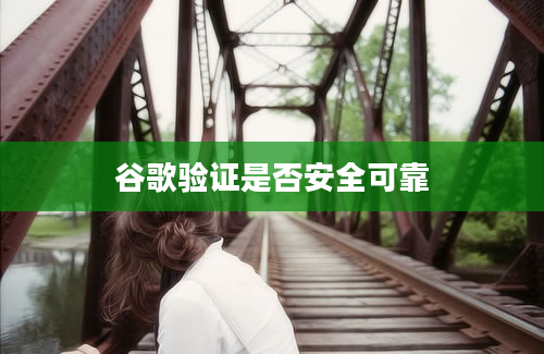 谷歌验证是否安全可靠