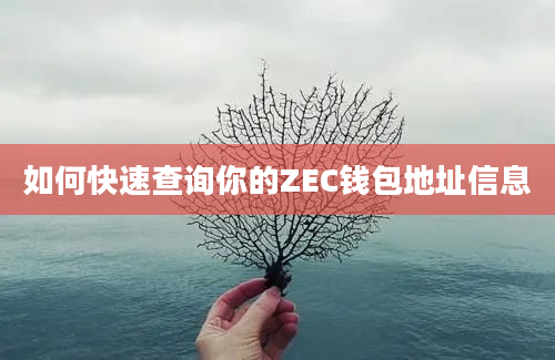 如何快速查询你的ZEC钱包地址信息