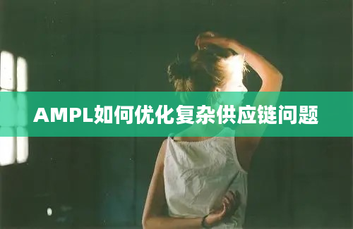 AMPL如何优化复杂供应链问题