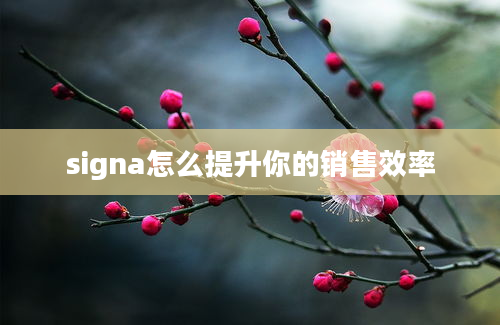 signa怎么提升你的销售效率