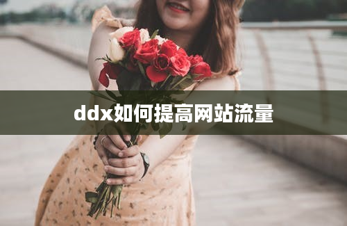 ddx如何提高网站流量