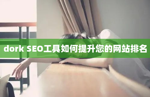 dork SEO工具如何提升您的网站排名