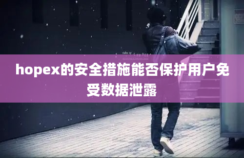 hopex的安全措施能否保护用户免受数据泄露