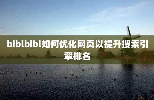 biblbibl如何优化网页以提升搜索引擎排名