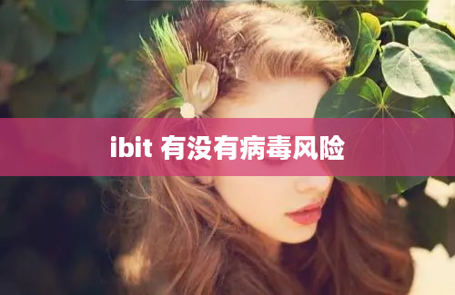 ibit 有没有病毒风险