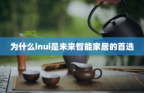 为什么inui是未来智能家居的首选