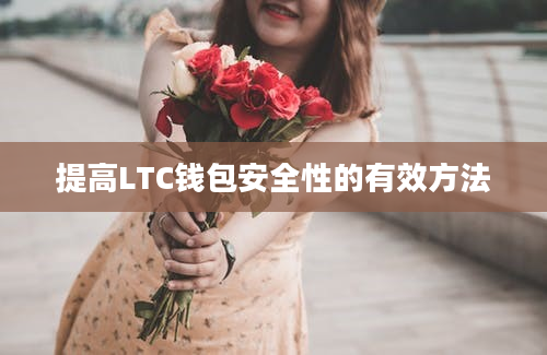 提高LTC钱包安全性的有效方法