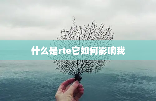 什么是rte它如何影响我