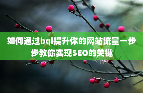 如何通过bqi提升你的网站流量一步步教你实现SEO的关键