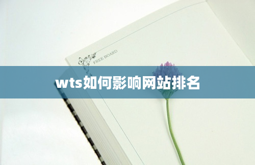 wts如何影响网站排名