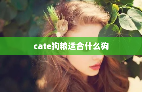 cate狗粮适合什么狗