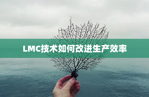 LMC技术如何改进生产效率